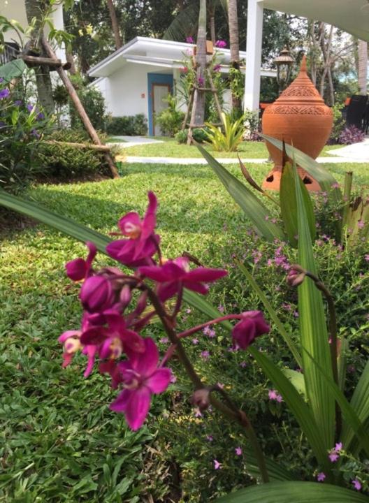 Hotel Sunshine International Hua Hin